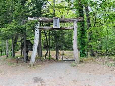 神社の鳥居 神社の鳥居の写真