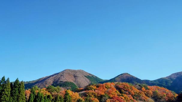 島根と広島の県境にある毛無山 島根と広島の県境にある毛無山 毛無山,山間部,島根の写真素材