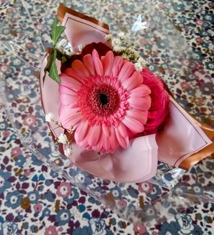 花 フラワー ピンク 花 フラワー ピンク 花,フラワー,ピンクの写真素材