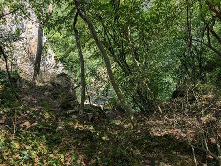 崖の上からの写真