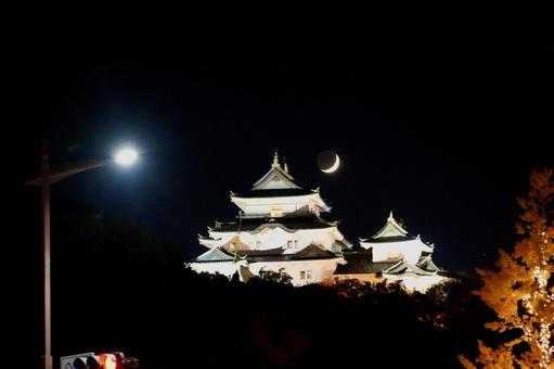 三日月と和歌山城 和歌山城,夜,和歌山の写真素材