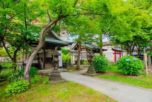 【青森】善知鳥神社 龍神之水 2025 【青森】善知鳥神社 龍神之水 2025の写真
