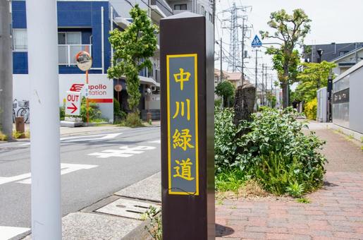 中川緑道 中川緑道 中川緑道,緑道,足立区の写真素材
