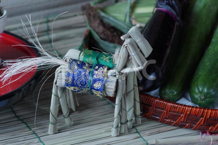 新盆の藁で作った精霊馬 新盆,藁,わらの写真素材