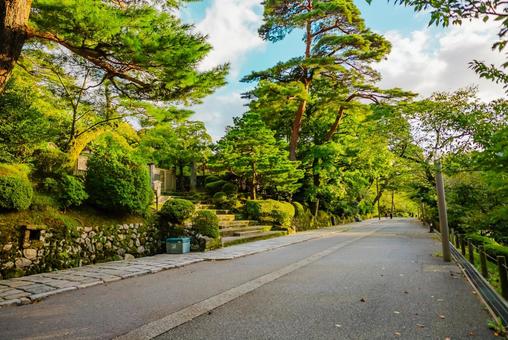 【石川】兼六園 文化財指定庭園 兼六園,文化財指定庭園,庭園の写真素材
