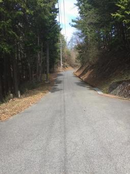 林道 林道の写真