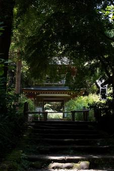 ［神奈川県鎌倉市］夏｜浄智寺 浄智寺,山門,寺の写真素材