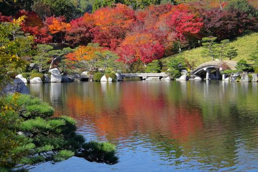 三景園で秋を満喫-1 三景園で秋を満喫-1 秋,紅葉,庭園の写真素材