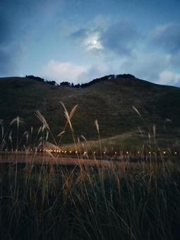 秋の曽爾高原 曽爾高原,ススキ,ライトアップの写真素材