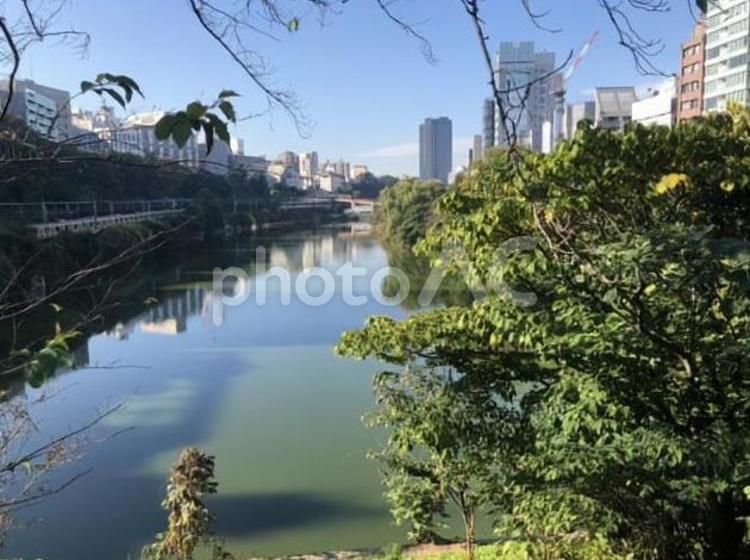 川と木 木,風景,自然の写真素材