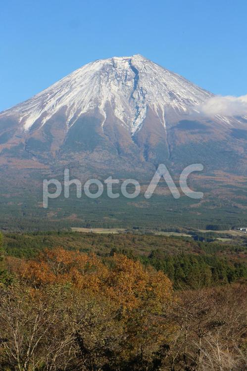 大沢崩れの見える富士山と秋 大沢崩れ,富士山,冠雪の写真素材