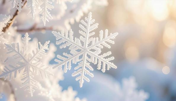 雪の結晶のクローズアップの写真