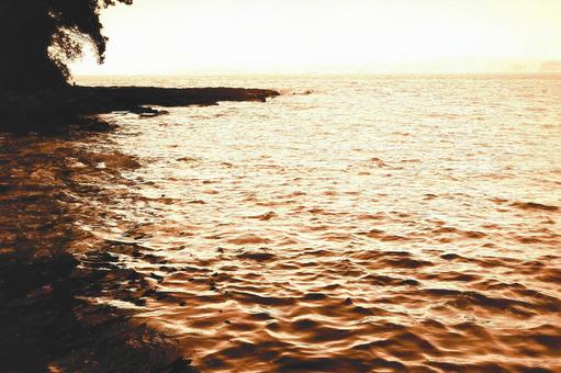 三浦半島　海　セピアの写真