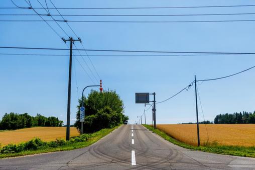 青空と一本道 青空と一本道 青空と一本道,道,直線の写真素材