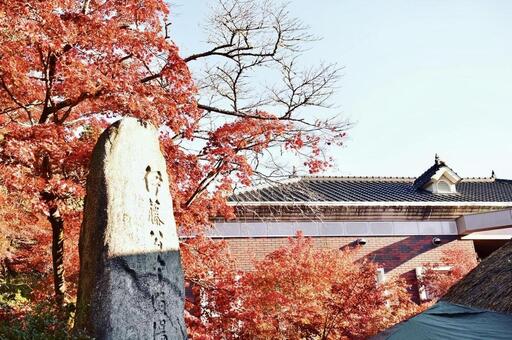 秋の伊藤博文公記念公園生家裏庭の紅葉 伊藤博文公記念公園,野村もみじ,紅葉の写真素材
