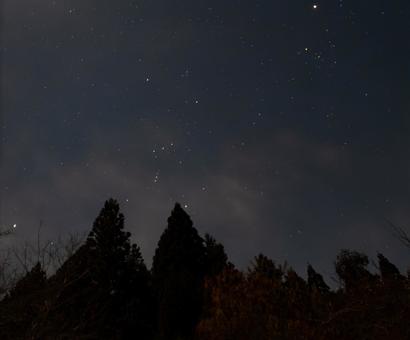 森の尖塔に宿るオリオンの夜 森,木々,針葉樹の写真素材