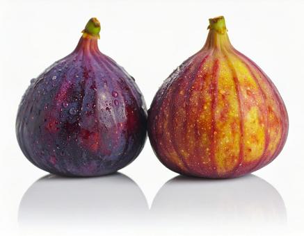 秋の味覚 いちじく 2個 実 秋の味覚 いちじく 2個 実の写真