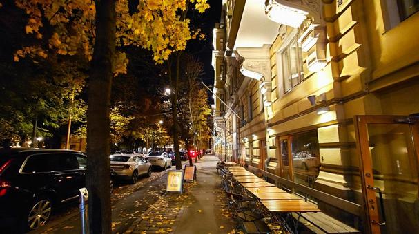 秋の夜道を歩く 秋の夜道を歩く 夜道,街灯,街歩きの写真素材