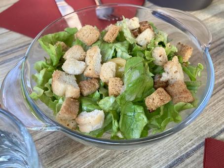 サラダ サラダの写真