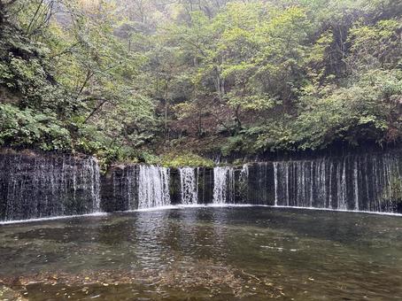 霧のかかる白糸の滝　秋　2（軽井沢） 白糸の滝,秋,川の写真素材