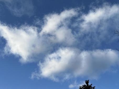 冬の青空と白い雲の写真