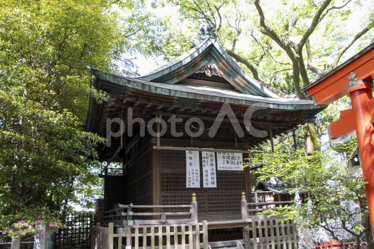 御器所八幡宮 御器所八幡宮,名古屋市昭和区,神社の写真素材