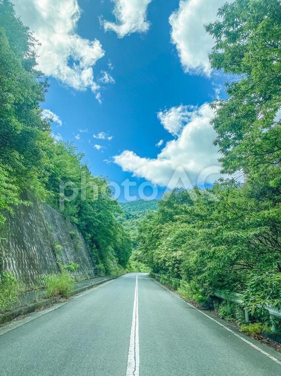 夏の風景 夏,道路,自然の写真素材