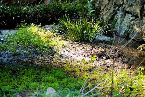 風景 風景の写真