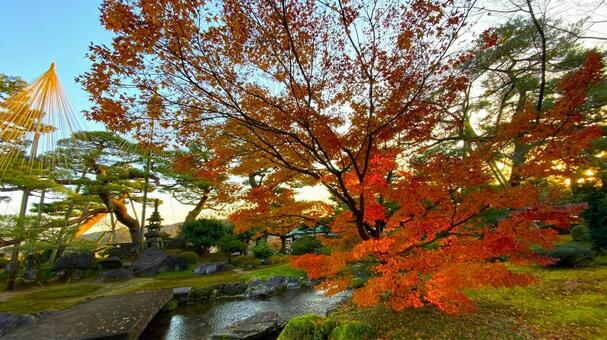 晩秋・早朝の兼六園 兼六園,金沢,石川の写真素材