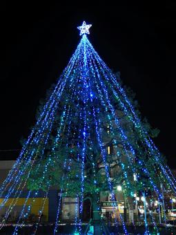 クリスマスツリー xmas,クリスマス,ツリーの写真素材