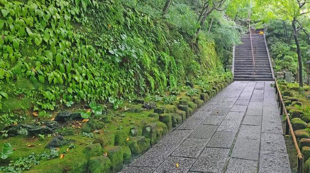 坂東33観音 04番 長谷寺 雨天の参道 坂東33観音 04番 長谷寺 雨天の参道 長谷寺,海光山,慈照院の写真素材