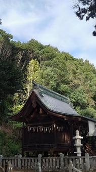 広島県-下御領八幡神社-本殿 広島県-下御領八幡神社-本殿 下御領,八幡神社,神社の写真素材