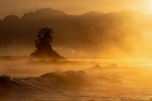 黄金色に輝く波と女岩 黄金色,オレンジ,波の写真素材