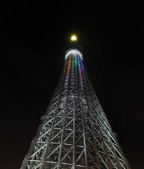 スカイツリー スカイツリーの写真