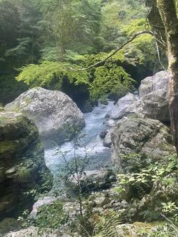 仁淀川 仁淀川 仁淀川,仁淀ブルー,川の写真素材