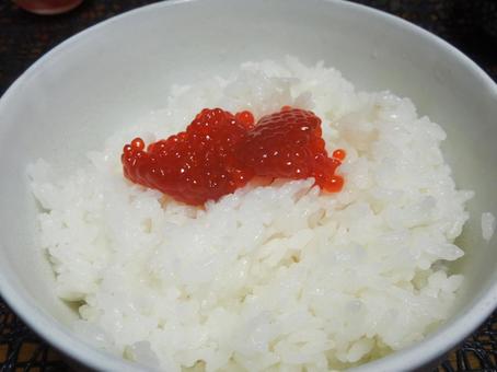 白米と筋子 筋子,白米,食べ物の写真素材