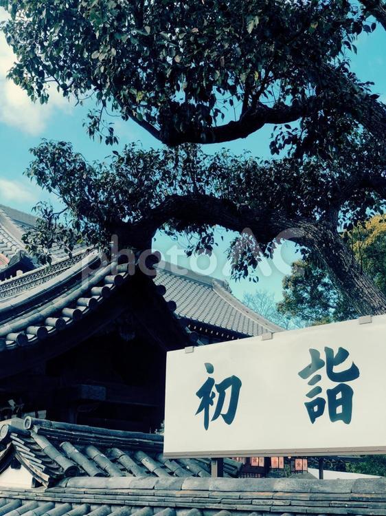 初詣　桜井神社 初詣,元旦,お正月の写真素材