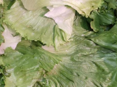 Photo, lettuce, vegetables, leaf, 