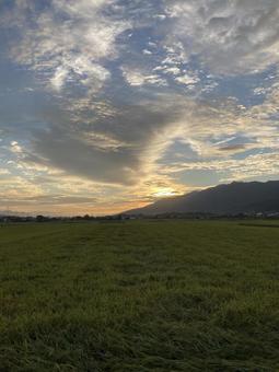 秋の朝焼けと田んぼ(縦) 秋の朝焼けと田んぼ(縦) 秋,朝焼け,朝日の写真素材