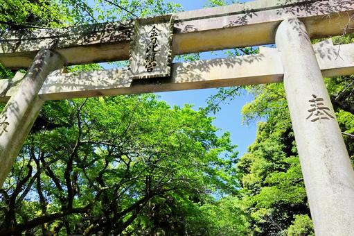 【香川県】金刀比羅宮 【香川県】金刀比羅宮 金刀比羅宮,神社,拝殿の写真素材