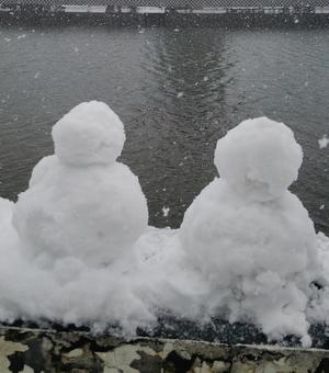 照片, 雪人, 冬季, 降雪, 