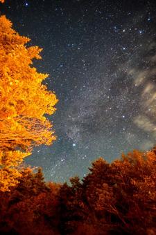 星空 星空の写真