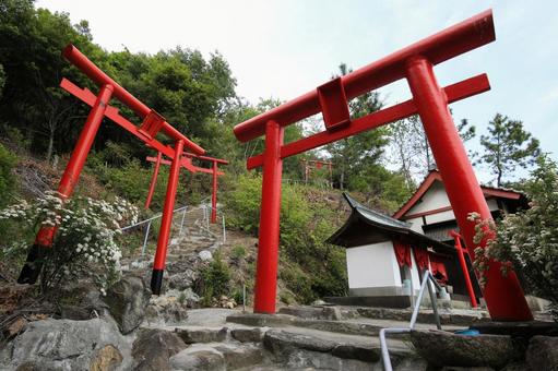 岡山県倉敷市 穴場稲荷遊歩道 岡山県倉敷市 穴場稲荷遊歩道 穴場稲荷遊歩道,歩道,穴場稲荷神社の写真素材