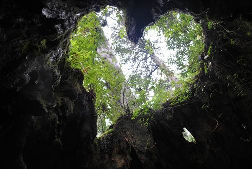 屋久島【ハート】 屋久島【ハート】の写真