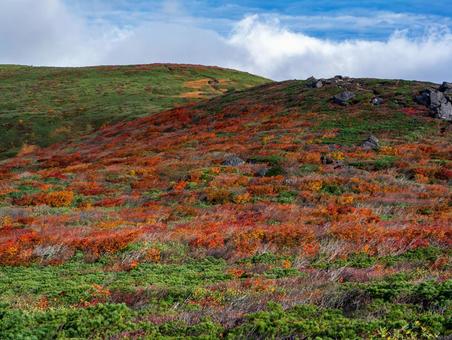 紅葉の栗駒山(須川岳) 紅葉の栗駒山(須川岳)の写真
