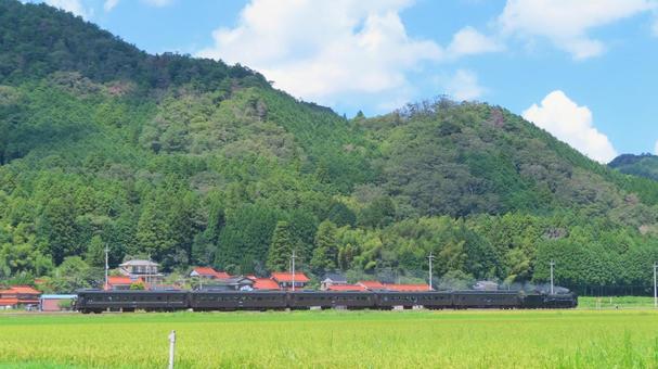 SLやまぐち号 D51 SLやまぐち号 D51の写真