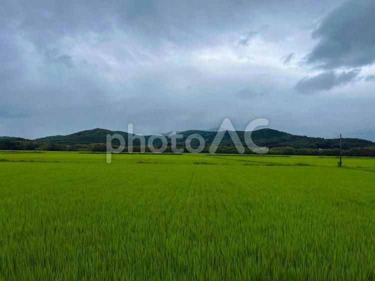 田舎の田園風景 自然,風景,壁紙の写真素材