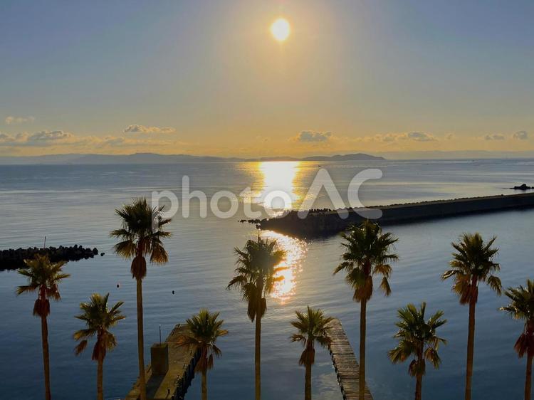 海沿いの風景 ヤシ,南国,夕陽の写真素材