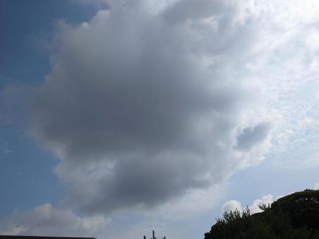 空 空の写真