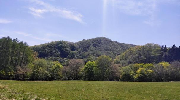 新緑の草原 新緑の草原の写真